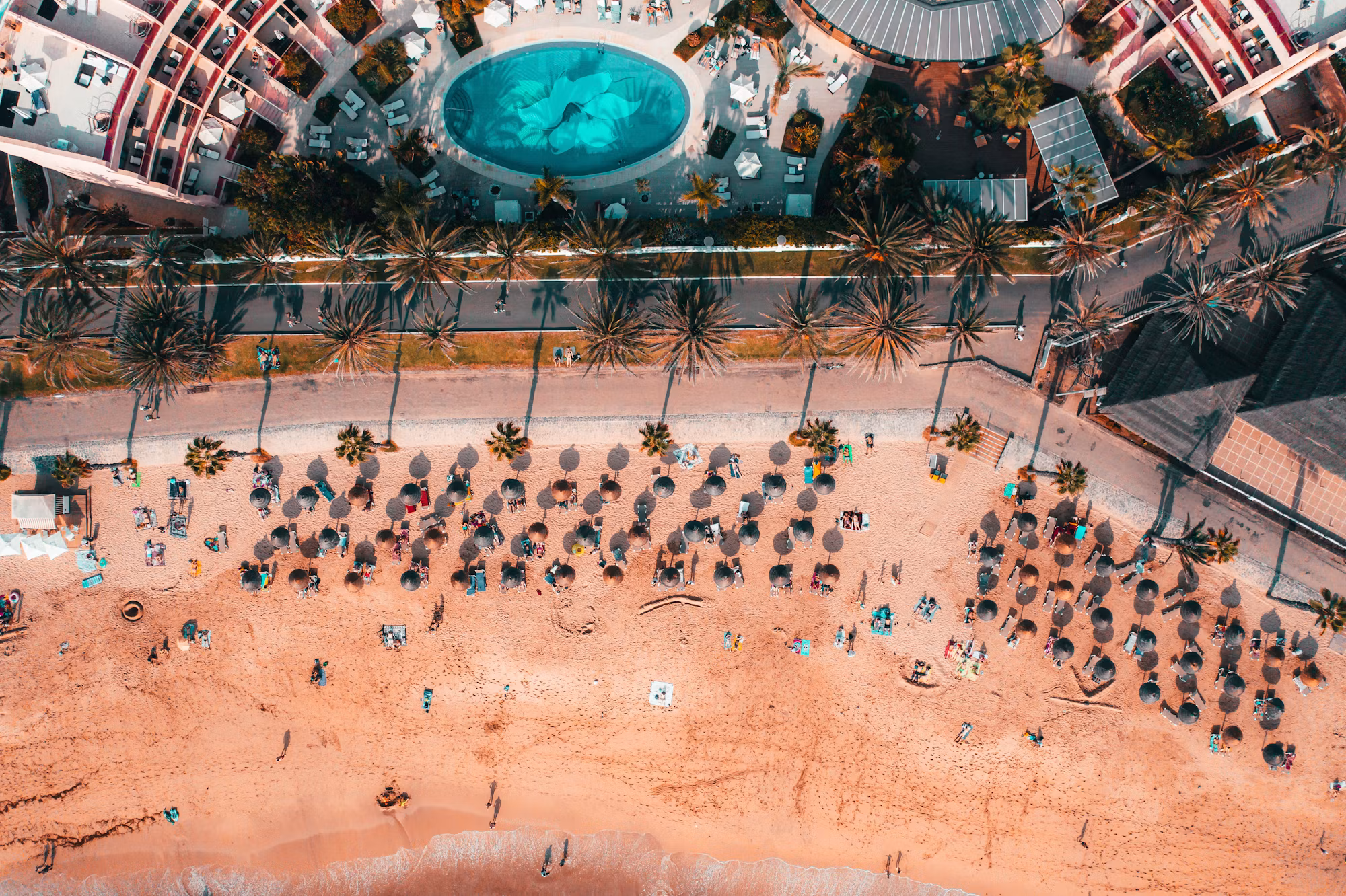 The Allure of Luxury Hotels: Where Comfort Meets Elegance